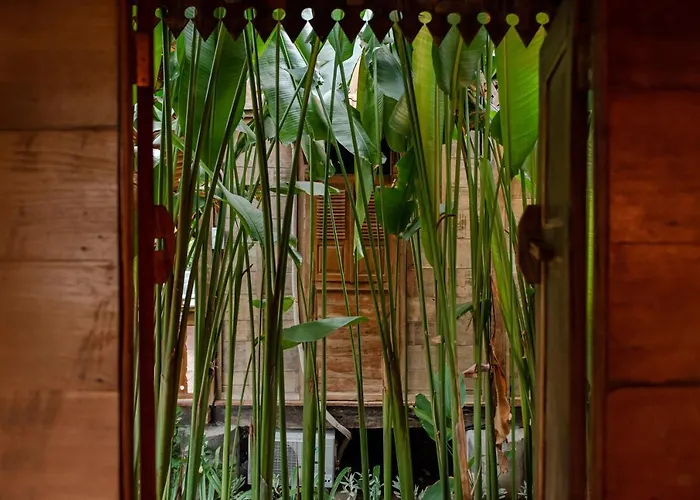 Moson Bali Legian (Bali)